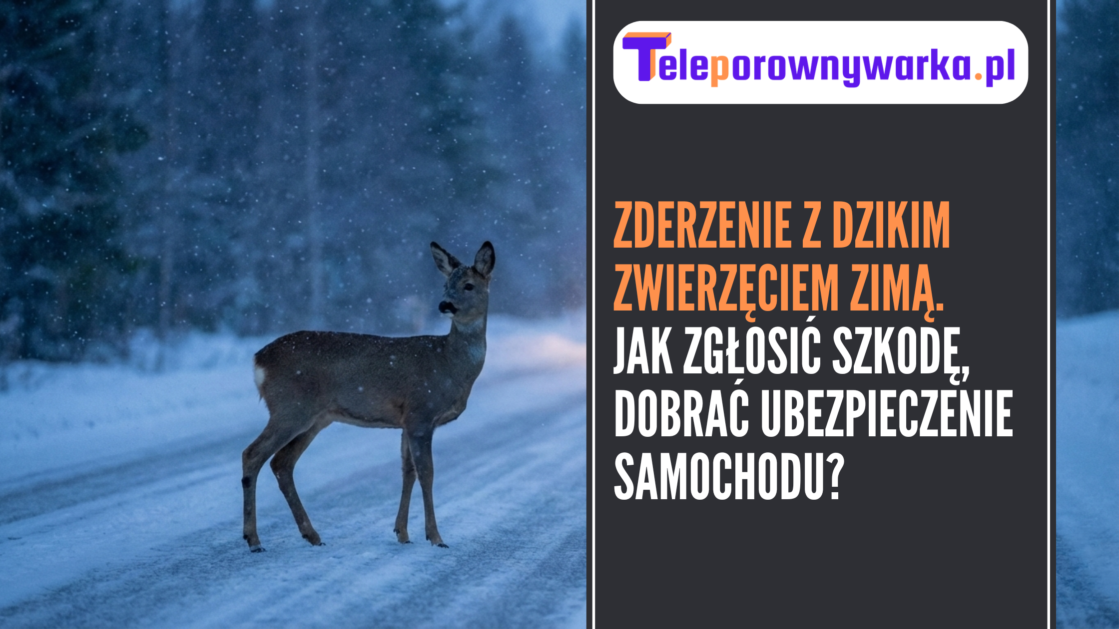 Ilustracja tekstu Zderzenie z dzikim zwierzęciem zimą. Jak zgłosić szkodę, dobrać ubezpieczenie samochodu?