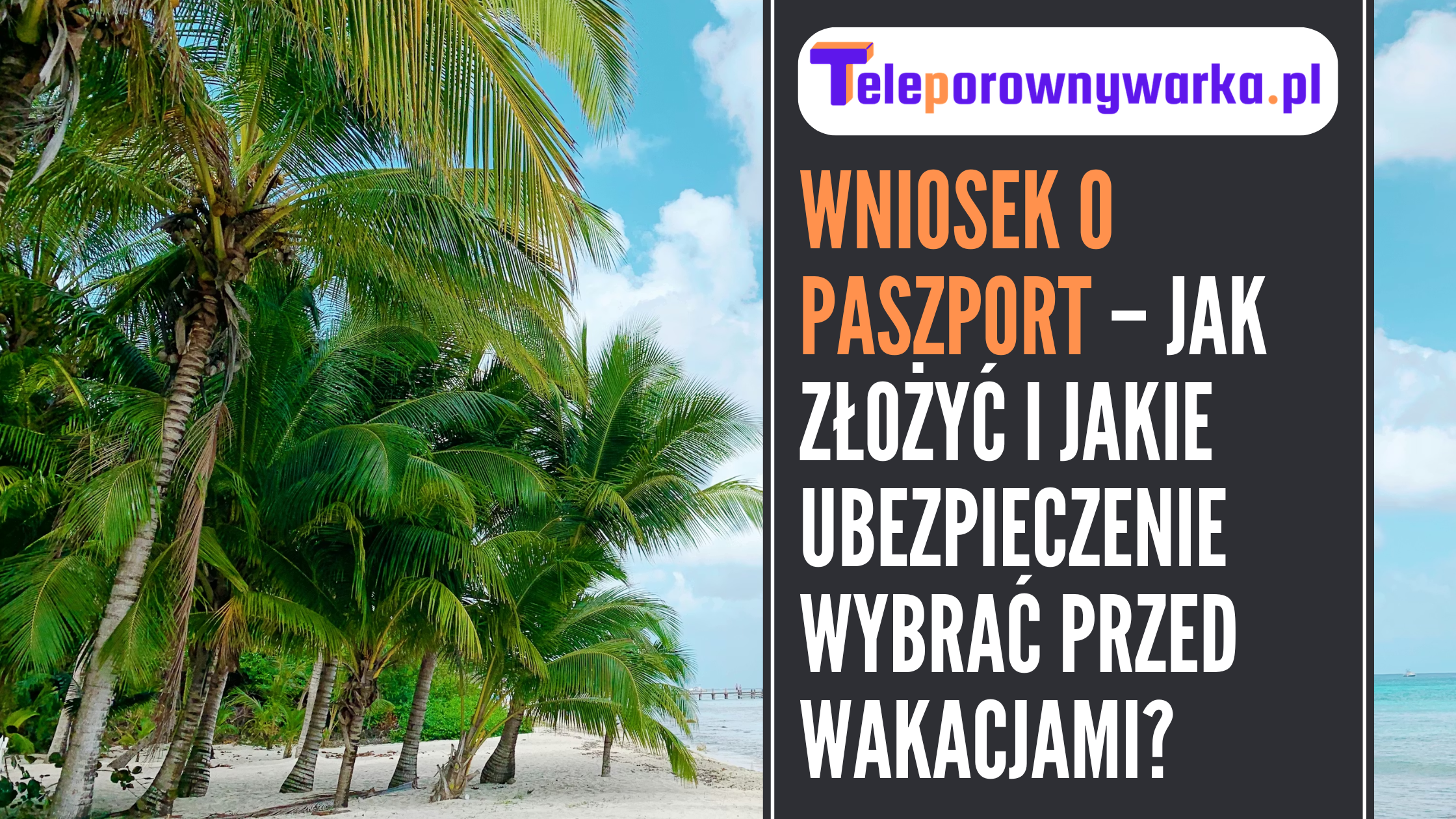 Ilustracja tekstu ,,Wniosek o paszport – jak złożyć i jakie ubezpieczenie wybrać przed wakacjami?''