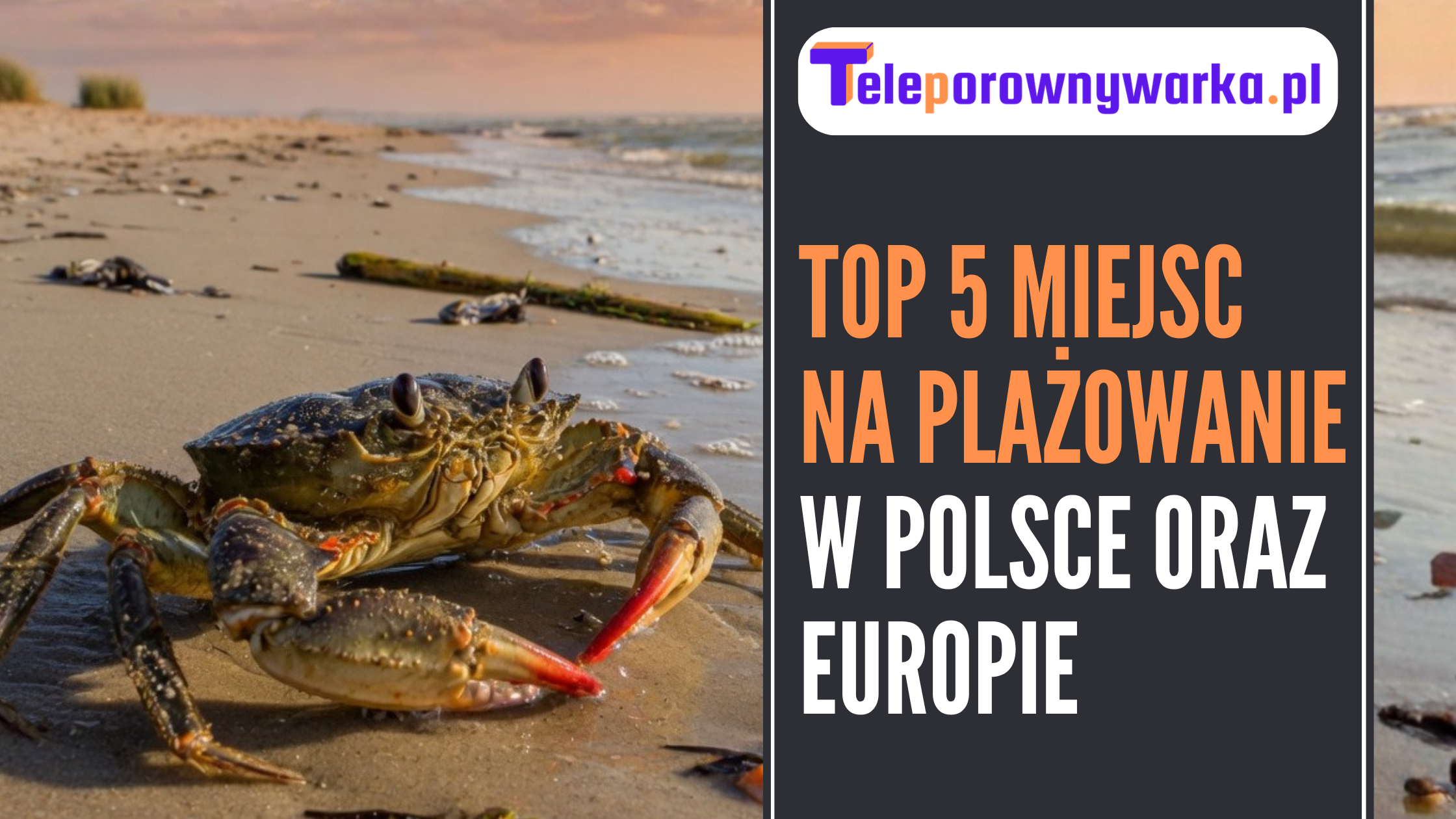 ilustracja tekstu Top 5 miejsc na plażowanie w Polsce oraz Europie