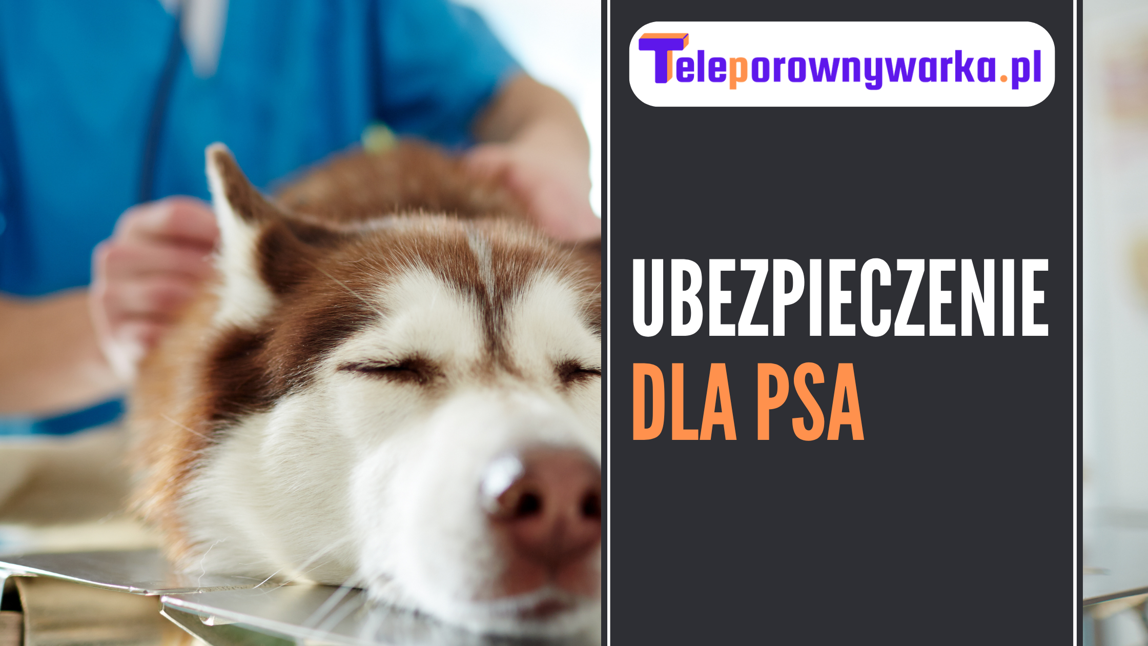 Ubezpieczenie dla psa